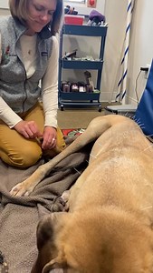 748 reactions · 24 shares | Simon Update! Dr. Jeret, who is Simon’s...