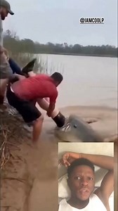 2.6K views · 17 reactions | Nor way | IAM COOL P | Facebook