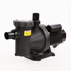 [Hot Item] Nsm 4490gph Pool Pump for in/Above Ground Dual Voltage, 110-220V, 60Hz, ETL 2-Year Full USA Warranty