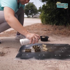 Goodwill Furniture Flip with Fusion Mineral Paint | Furniture Flipping Teacher