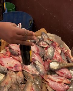 Fish market at Coronation market, Downtown Kingston. | Streets of Jamaica