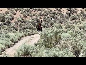 2025 Pony Express re-ride, Edwards Creek station