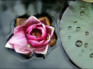 5.9K views · 380 reactions | İntizar \\\ Sensiz Olamam | Yağmur ve BEN | Facebook