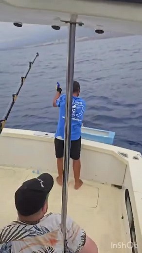 #puertocolon #nolimitfishing #bluemarlin #canaryisland #catchrelease #shimanofishing_jp #sealife #marlin # | Luca Molducci