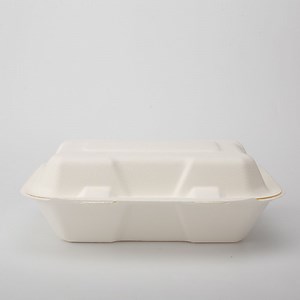 [Hot Item] Biodegradable Ecofriendly 9" X 6" Disposable Sugarcane Clamshell Boxes Take out Boxes