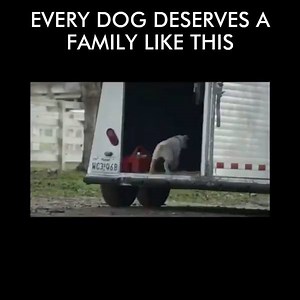 Every dog deserves a family like this