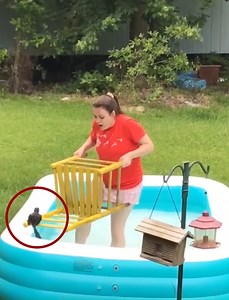 Girl's Attempt to Aid Squirrel Fails | Fit2Fat2Fit