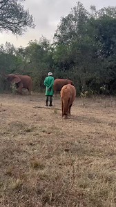 20K views · 5.4K reactions | Talek is always easy to find: She likes...