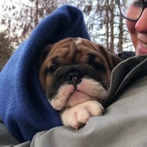 Kelly Rae Roberts on Reels