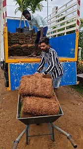 Small Home Garden Setup!! #homegarden #garden #gardening #plants #flowers #homegardening #nature #homegrown #growyourownfood #gardenlife #urbangarden #mygarden #growyourown #plantsofinstagram #gardeninspiration #organicgardening #instagarden #plantsmakepeoplehappy #naturephotography #vegetablegarden #homedecor #organic #kitchengarden #backyardgarden #greenthumb #vegetables #plantlover #flowersofinstagram #urbangardening #photography | Green Formula Landscape and Gardening Solution