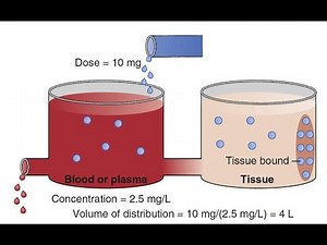 Volume of Distribution as A Principle of Pharmacokinetics