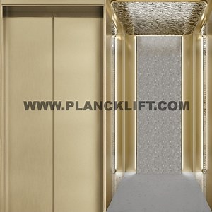 [Hot Item] Innovative Passenger Lift for Domestic Use in Modern Apartments