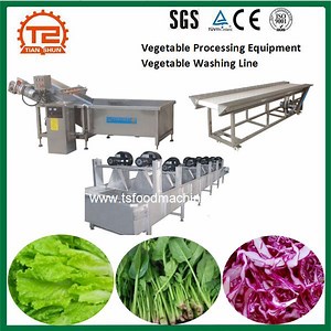 [Hot Item] Vegetable Processing Equipment Machine Vegetable Washing Line