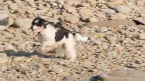 Exploring Wild Nature on Reels