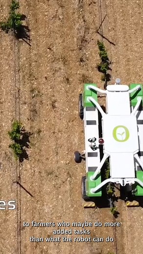 French robot manufacturer Naïo Technologies announced that its robots will now be available with augmented #autonomy #cdnag #agritechnica2023 | RealAgriculture