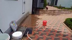 27K views · 188 reactions | Pisciculture à la maison ! #inspiration #pisciculture | Marc Mboule | Facebook