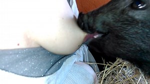 Yasmin breastfeeding piglet