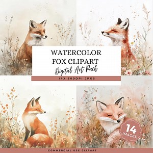 Aquarell Fuchs Clipart für Handwerker und Kleinunternehmer, die weiche Waldkunst für kommerzielle Designs benötigen - Etsy.de