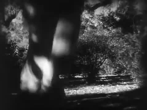 Tarzan the Ape Man (1932)