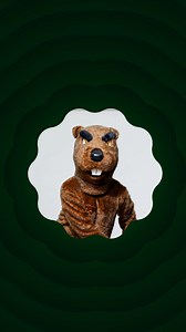 Stuff those stockings with Duluth Trading Co. | Duluth Trading Company