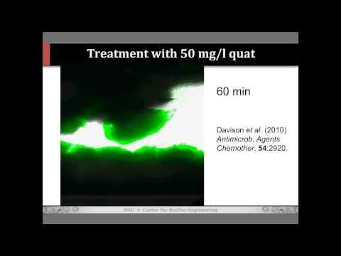 Phil Stewart - Keynote - The Science of Biofilm Control with Antimicrobial Agents