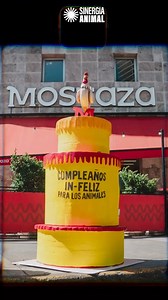 14K views · 1.7K reactions |  En el cumple de Mostaza, fuimos a...