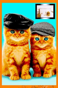  #HAPPYHALIDAY #JULY #SUMMER | Planet Gif ಌ | Facebook