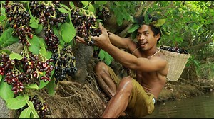 Rich Fruits In River Trail - jambolan plum | Galvin Planet