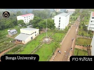 Bonga University/ቦንጋ ዩንቨርስቲ