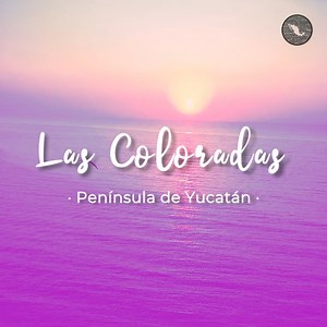 México es Cultura on Reels