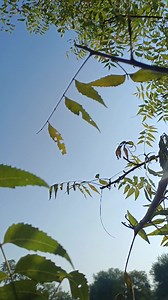 Hello | Hindi Samachar | Facebook