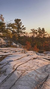 Everything looks better in the fall   @biancamaria.xo | Mountain Warehouse USA | Facebook