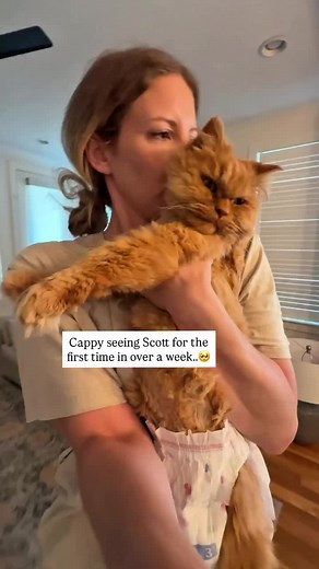 Understanding Cat Behavior: Why Does My Cat Lick Me?