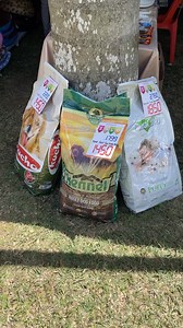 22K views · 43 reactions |   | Manjoo Group | Facebook