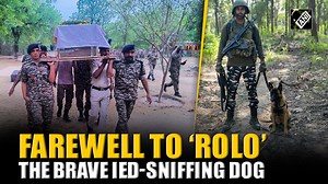 6.7K views · 207 reactions | “An expert in the detection of IEDs…” CRPF personnel remember the IED sniffing dog ‘Rolo’ #Rolo #CRPF #Dog | Asian News International (ANI) | Facebook
