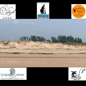 11K views · 154 reactions | ESTUARY MOUTH ON THE SPRING LOW TIDE‼️ 23-04-2024 Fishing is about the places it takes you too!!! ￼ | Fat Bike Fishing St Lucia | Facebook