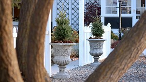 192K views · 7.8K reactions | Simple Winter Containers! ❄️ | Garden Answer | Facebook