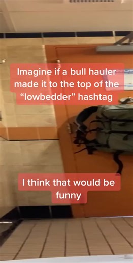 For all the bull haulers out there, my Bull Rack hats just dropped. They probably won’t last long. Link in bio #lowbedder | Lori Skinner