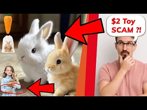 Fanyil BunnyPal Review, My Realistic Bunny Scam Exposed!