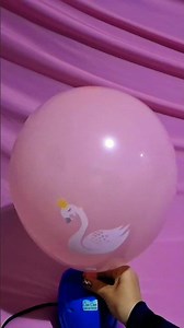 SWAN BALLOON INFLATION AND DEFLATION!!!