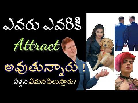 Sexual Orientation అంటే ఏమిటి? | లైంగిక ధోరణులు | Types of Sexual Orientation in Telugu by Thapaswi
