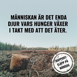 1K views · 73 reactions | Varför har vi så svårt att acceptera tanken...