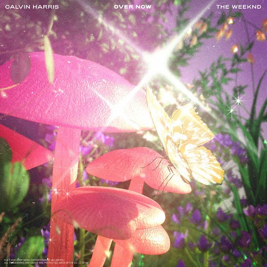 The Weeknd & Calvin Harris - "Over Now"