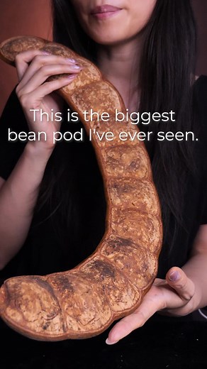Exploring the Biggest Bean Pod in ASMR Bakery Face Reveal