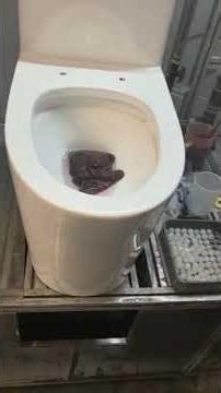 Commercial Toilet Flush Test | Anti-Clog Performance Demonstration by AIDI