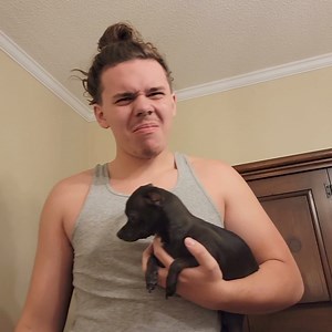 Phoenix Rising Rescue on Reels | Facebook