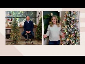 Bethlehem Lights Overlit Slim Spruce Tree on QVC