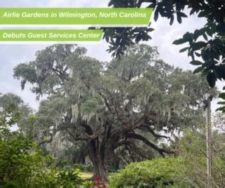 Airlie Gardens in Wilmington, North Carolina, near the beautiful North Carolina coastline, recently debuted its lovely new gift shop in the newly renovated Guest Services Center. The renovations include upgrades to the ticket purchasing area and education center, allowing visitors more accessible access to the facility and a more modern experience. The Garden is grateful to its board for their outstanding fundraising efforts to help them make this addition possible. Airlie Gardens is known for i
