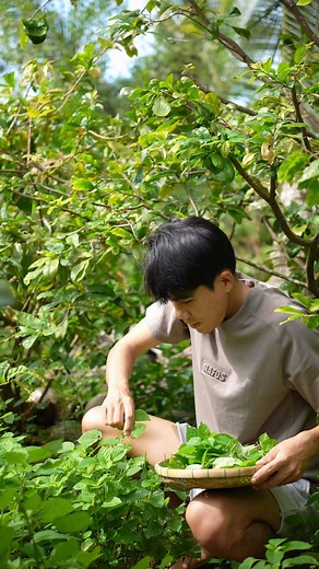 207K views · 5K reactions | Cứ hể hông biết bữa nay ăn gì là Út lại lấy cầm cái rổ đi quanh vườn, kiếm hái mớ rau, cái ít ít vậy cũng được nồi canh thơm mát #ChuyenNhaUtTinh | Chuyện nhà Út Tình | Facebook