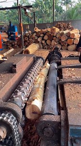 How to wood veneer peeing bend wood 1016 #woodpeeling #woodpeel #woodworking #reels #peeling #viral #wooden | Page home